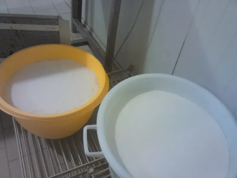 Le lait est ensuite caillé pour une durée de 24 à 36 heurwebp