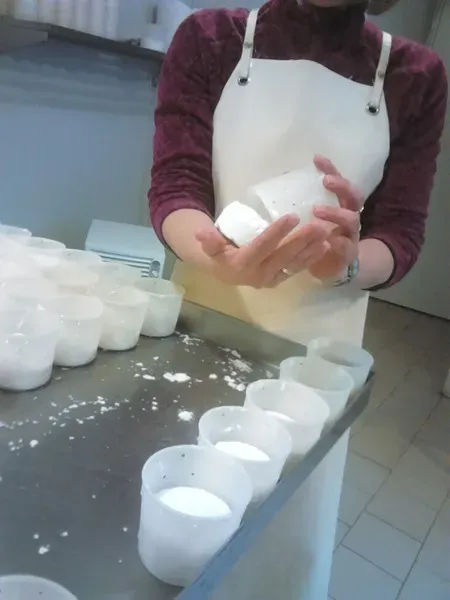 Fromage de chèvre à Valleraugue
