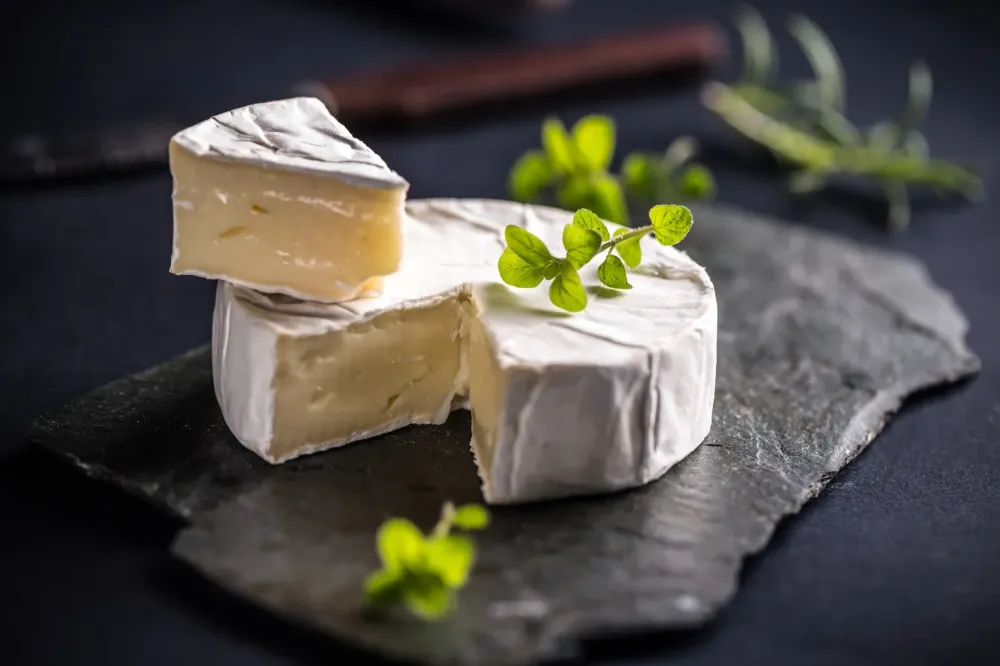 Nos fromages dans le Languedoc Roussillon